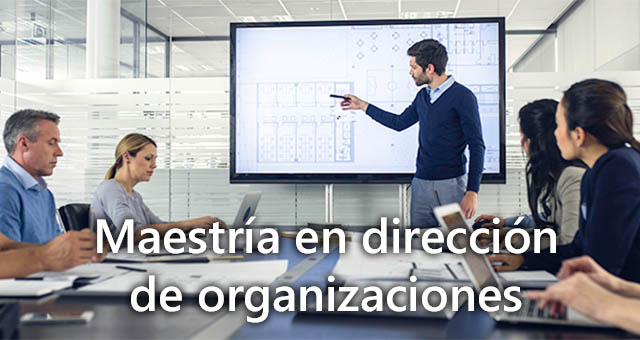 M Dir de Org